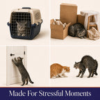 Everyday calming support for common stressful moments