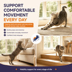 Daily mobility support for cats