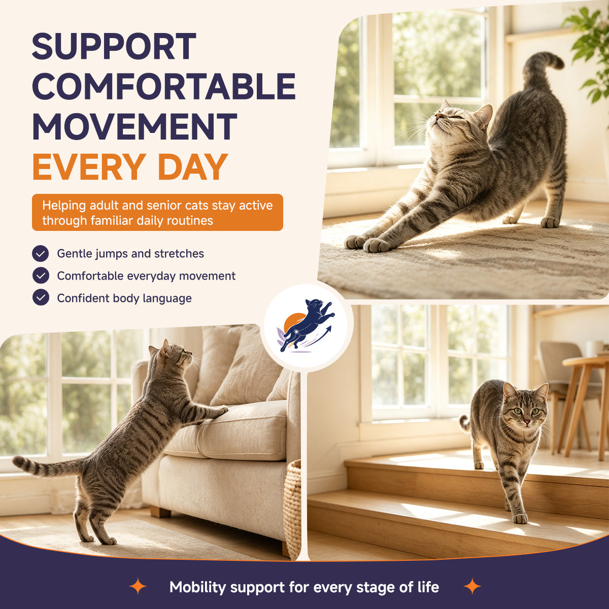 Daily mobility support for cats